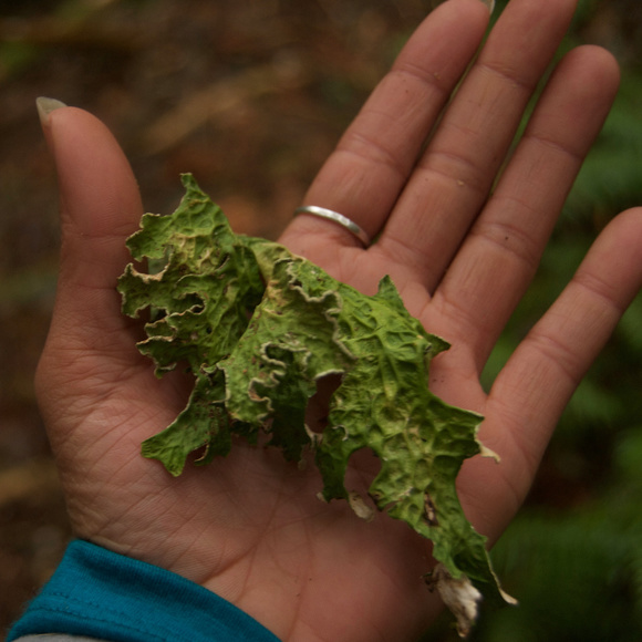 Hello fellow humans... - Picture 1 of 1